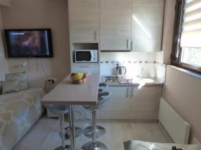 Отель Apartments Sia  Копаоник